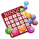 online bingo tips usa